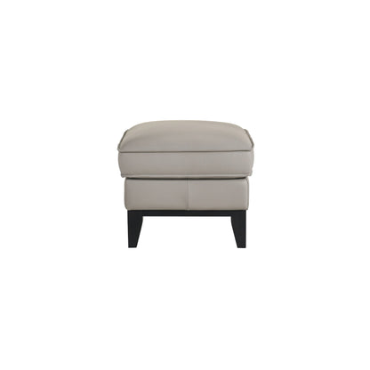 Aaron - Leather Ottoman - Mist Gray
