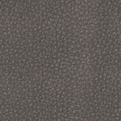 61003/46/58/62 : 61003S2