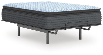 Destin Cove PT California King Mattress