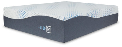 M50831