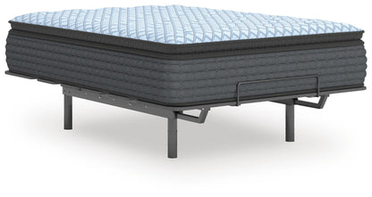 Destin Cove PT California King Mattress